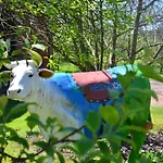 Gospodarstwo agroturystyczne Hof Heiderich *