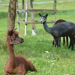 Gospodarstwo agroturystyczne Hof Heiderich *