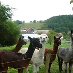 Hof Heiderich Oberzent
