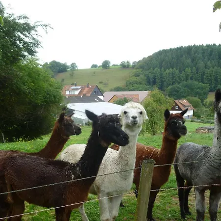 Hof Heiderich Oberzent