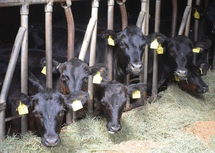 مزرعة للإقامة Hof Heiderich Oberzent