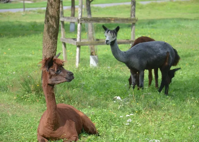 مزرعة للإقامة Hof Heiderich *