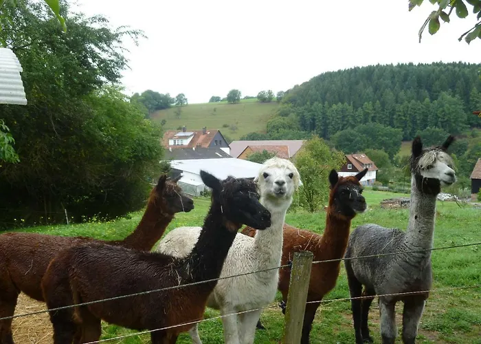 Hof Heiderich Oberzent