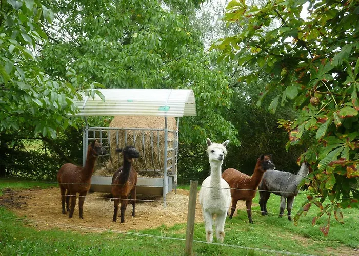 مزرعة للإقامة Hof Heiderich Oberzent